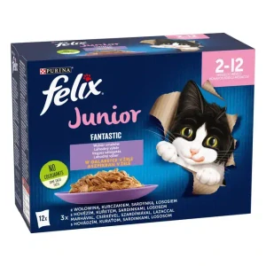 Felix Fantastic Junior multipack 12×85 g